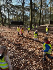 Sorties au bois de Stambruges